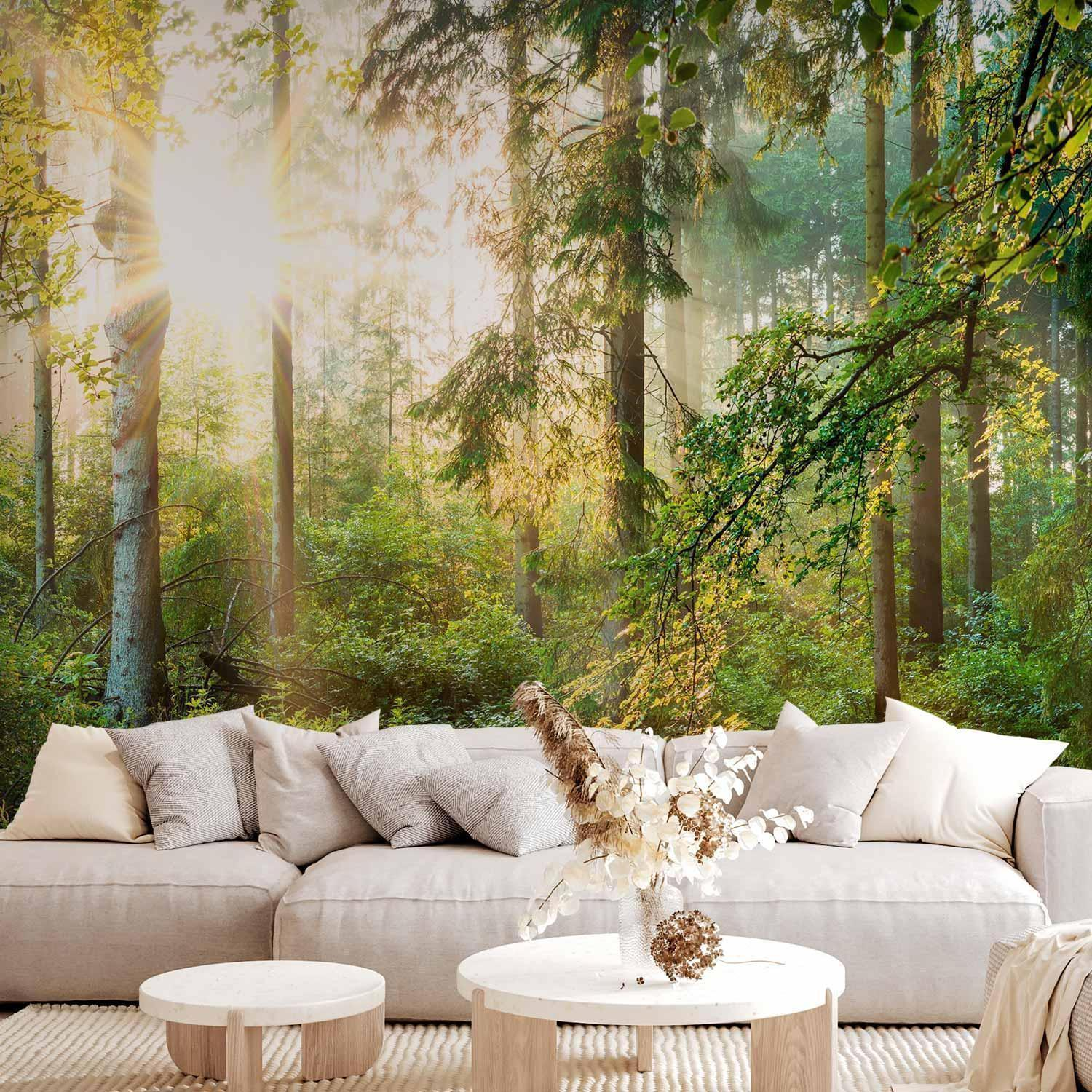 Untamed Nature Wall Mural Wallpaper – Sunrise Forest Scene with 3D Effect Illusion