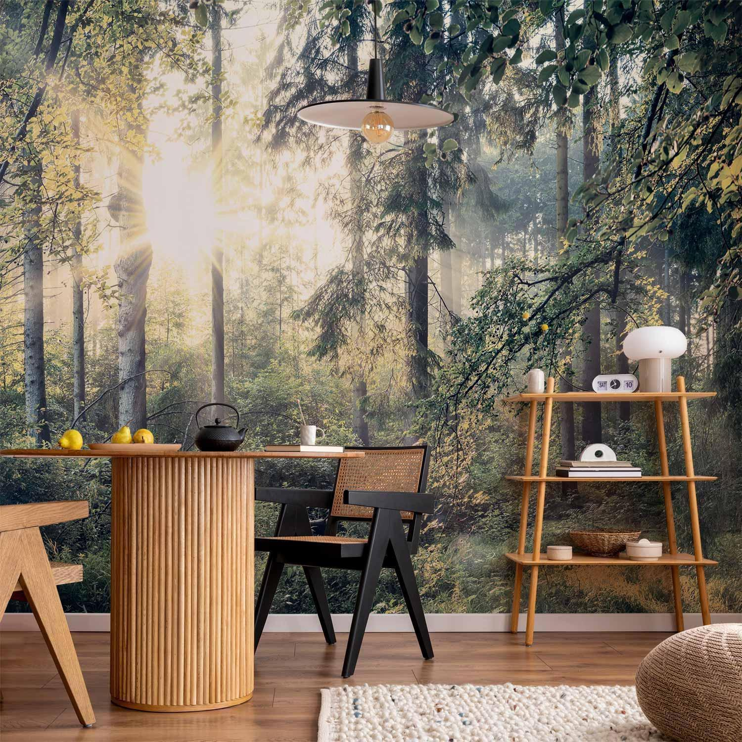 Forest Light Wall Mural Wallpaper – Sunlit Woodland Scene with 3D Effect Illusion