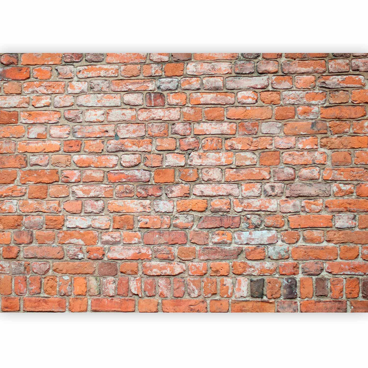 Loft Wall Wall Mural Wallpaper – Old Red Brick Pattern with 3D Surface Depth