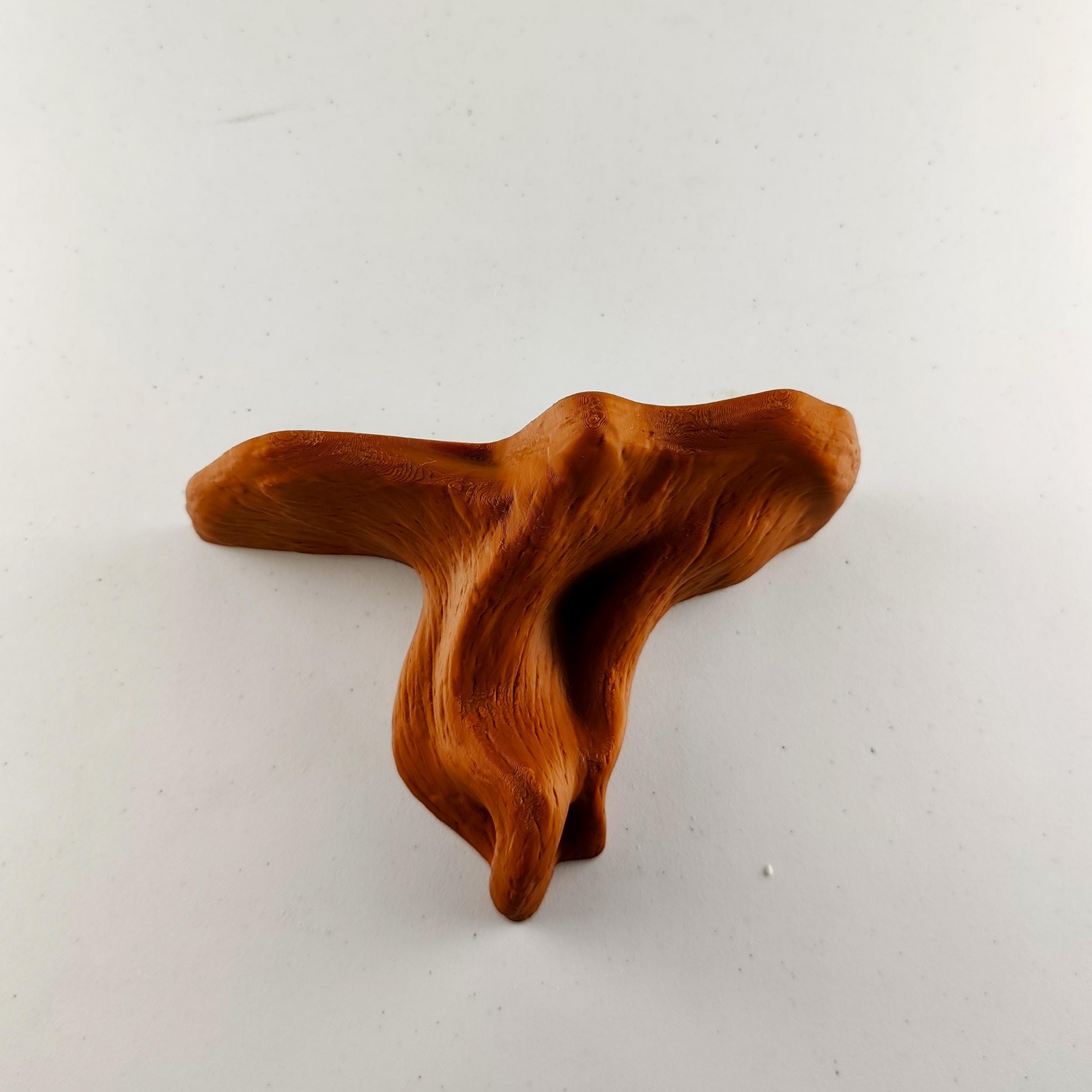 Tree Root Floating Wall Shelf – Organic 3D Printed Shelf for Modern Earthy Interiors