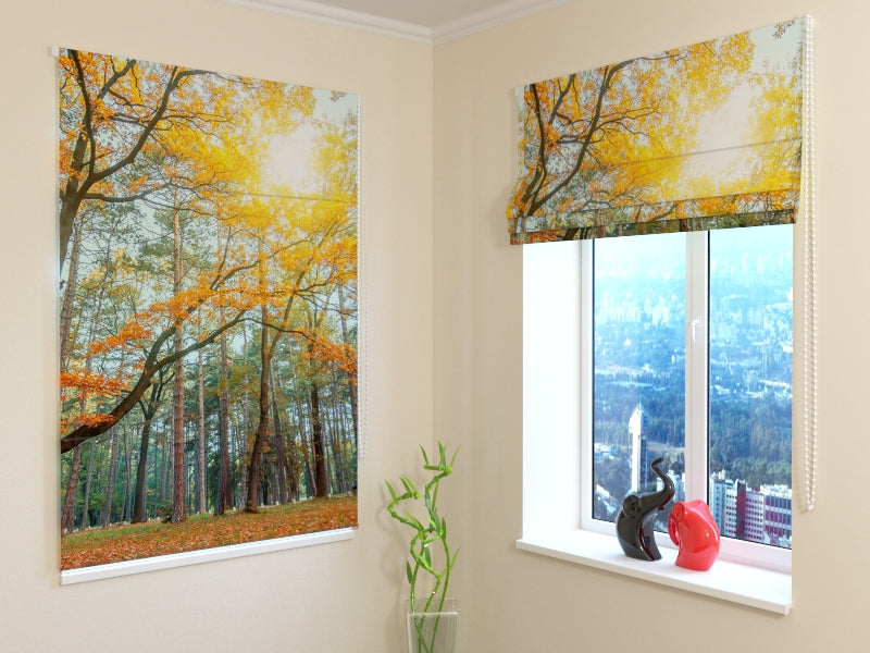 Durable Forest Sunlight roman shades for Nature-Inspired Interiors