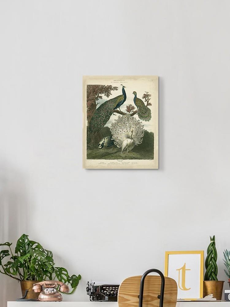 Peacock Gathering Wall Art -Sydenham Edwards Designs