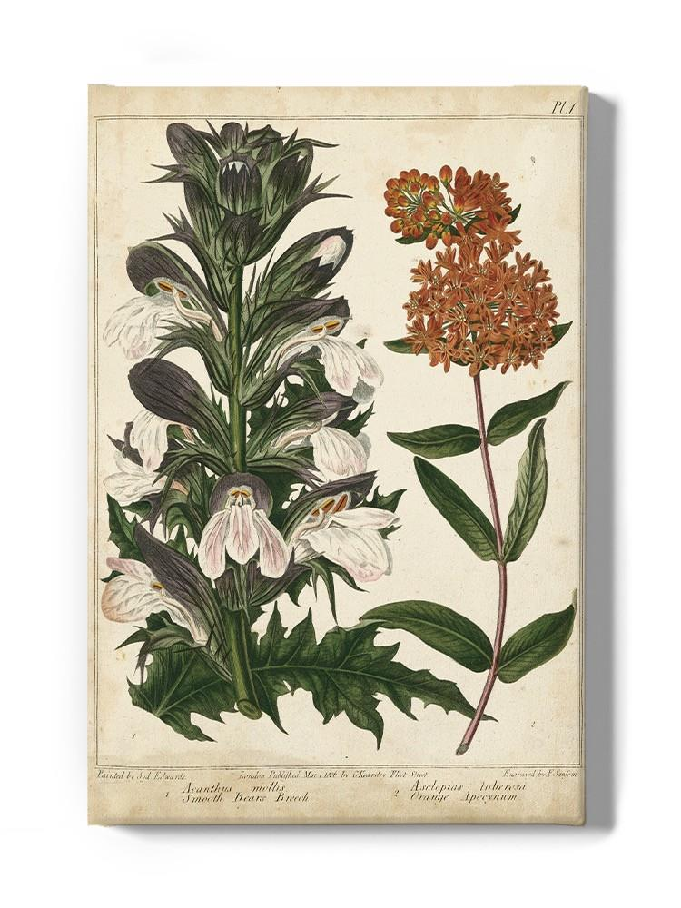 Enchanted Garden. Iv Wall Art -Sydenham Edwards Designs