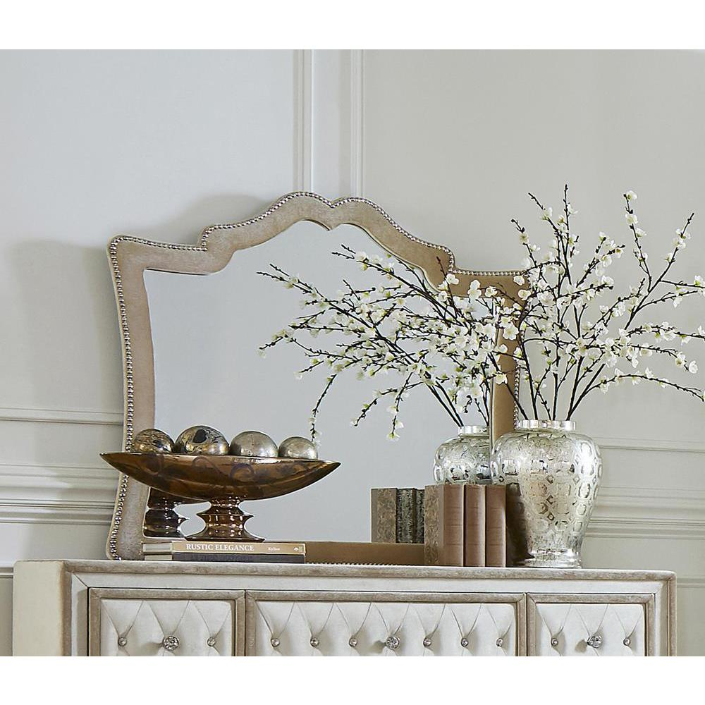 Antonella Camel Upholstered Dresser Mirror with Nailhead Trim