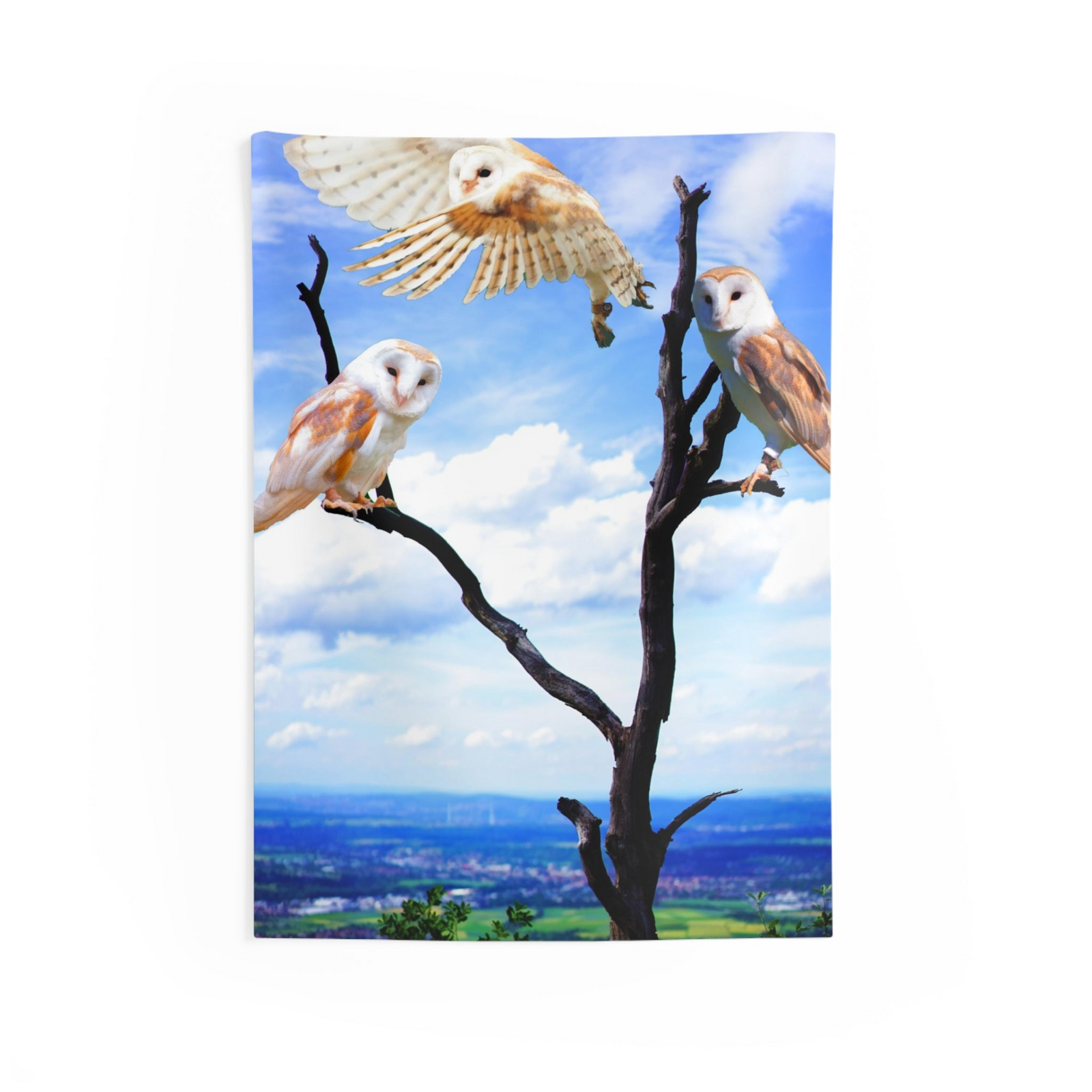 Owl Wall Tapestry – 100% Polyester Decorative Wall Tapestry
