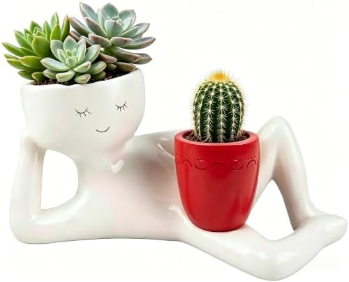 Sleepy Sprout Planter, Red Funny Head Face Planter,Double Layer Succulent