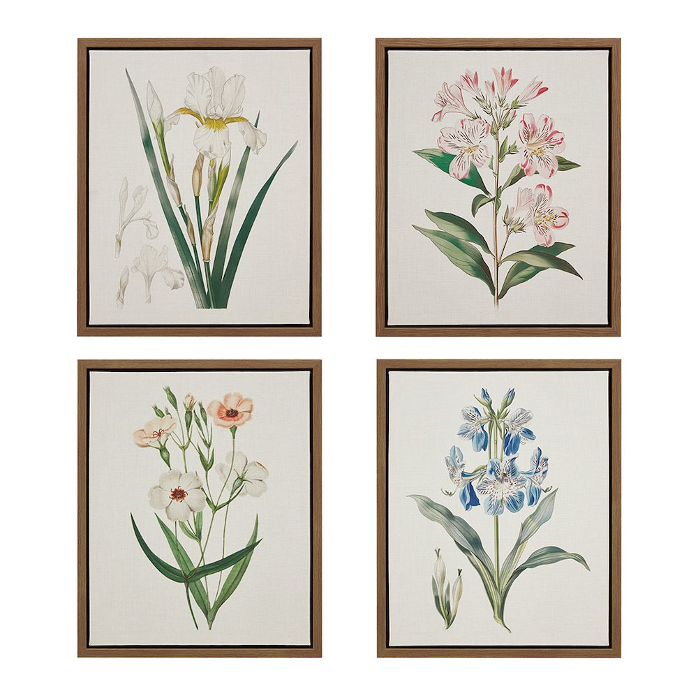 Herbal Botany 4-piece Botanical Illustration Framed Canvas Wall Art Set