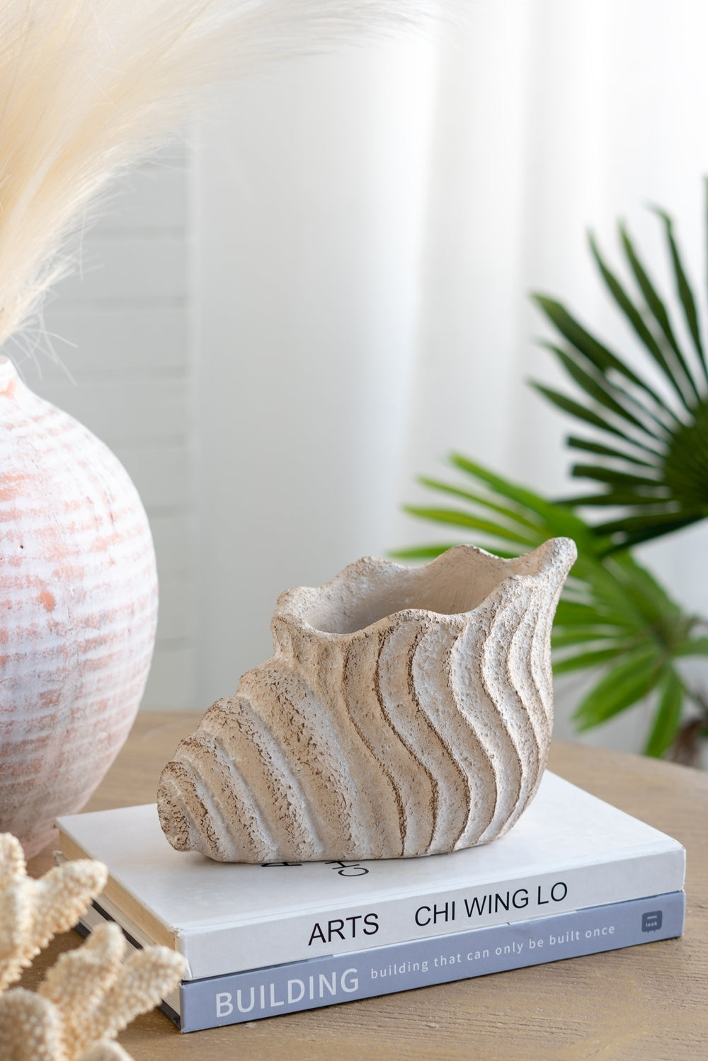 9x5.5x5.7' Sand and Cement Conch Shell Planter with Textured Beige Finish
