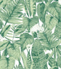 Jungle Green Tropical Vinyl Peel and Stick Wallpaper Roll (Covers 28 Sq. ft.)