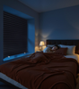 81203707