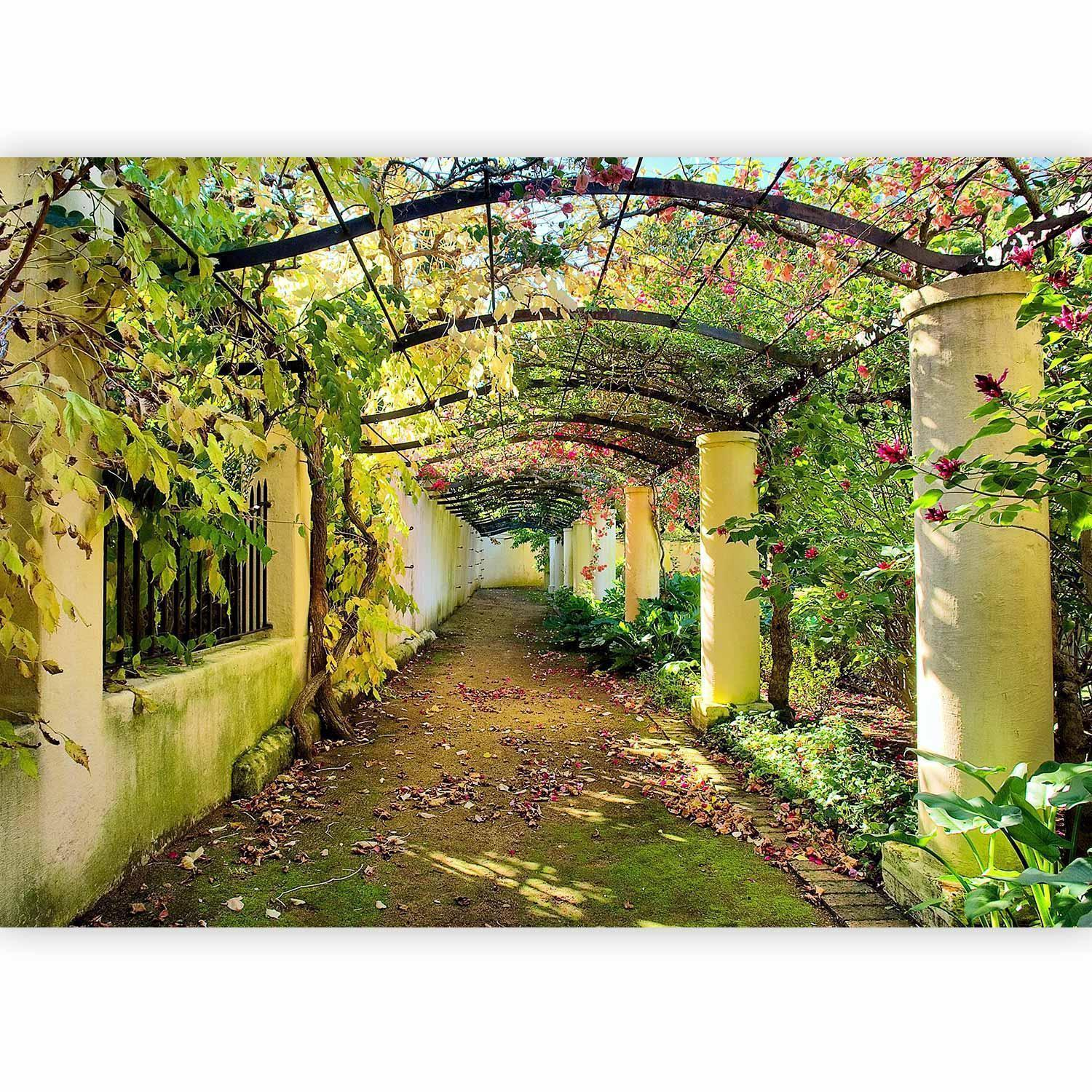 Wall Mural Wallpaper – Nature-Covered Passage with Light-Filled 3D Depth Perspective