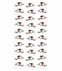 80837780