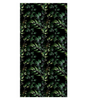 80836669