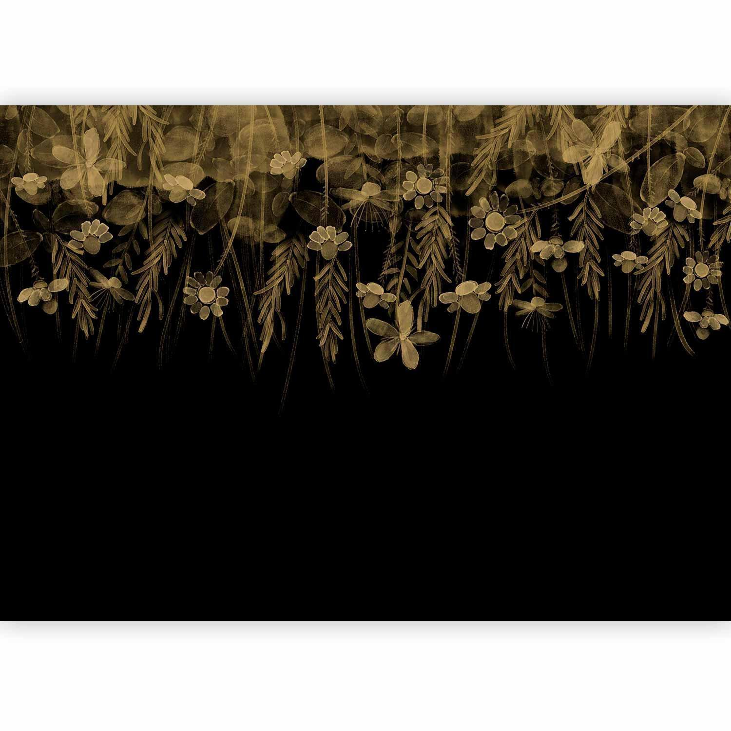 Carta da parati - Nature landscape - black abstract nature motif with flowers in sepia
