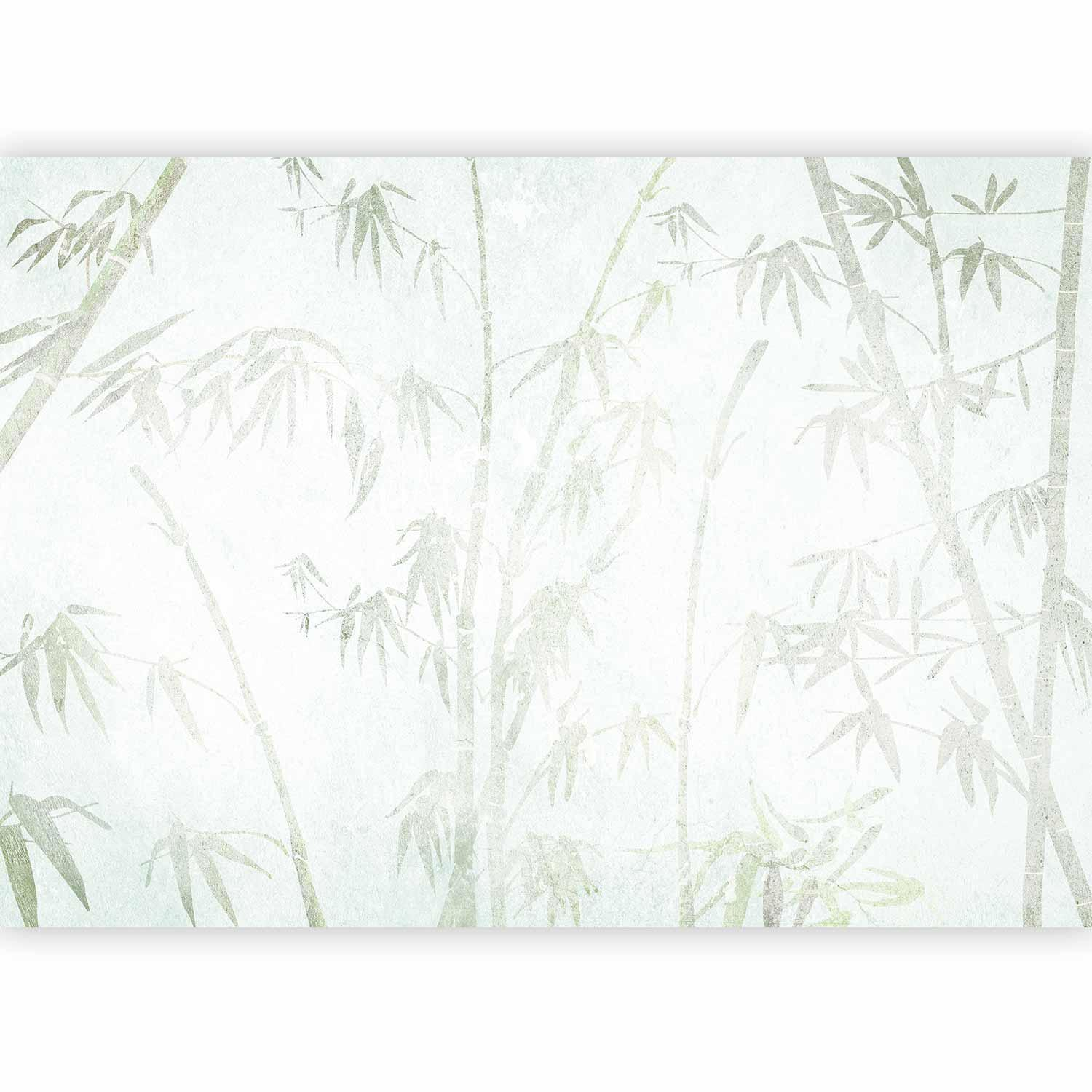 Asian Jungle Wall Mural Wallpaper – Exotic Botanical Scene with 3D Effect Illusion