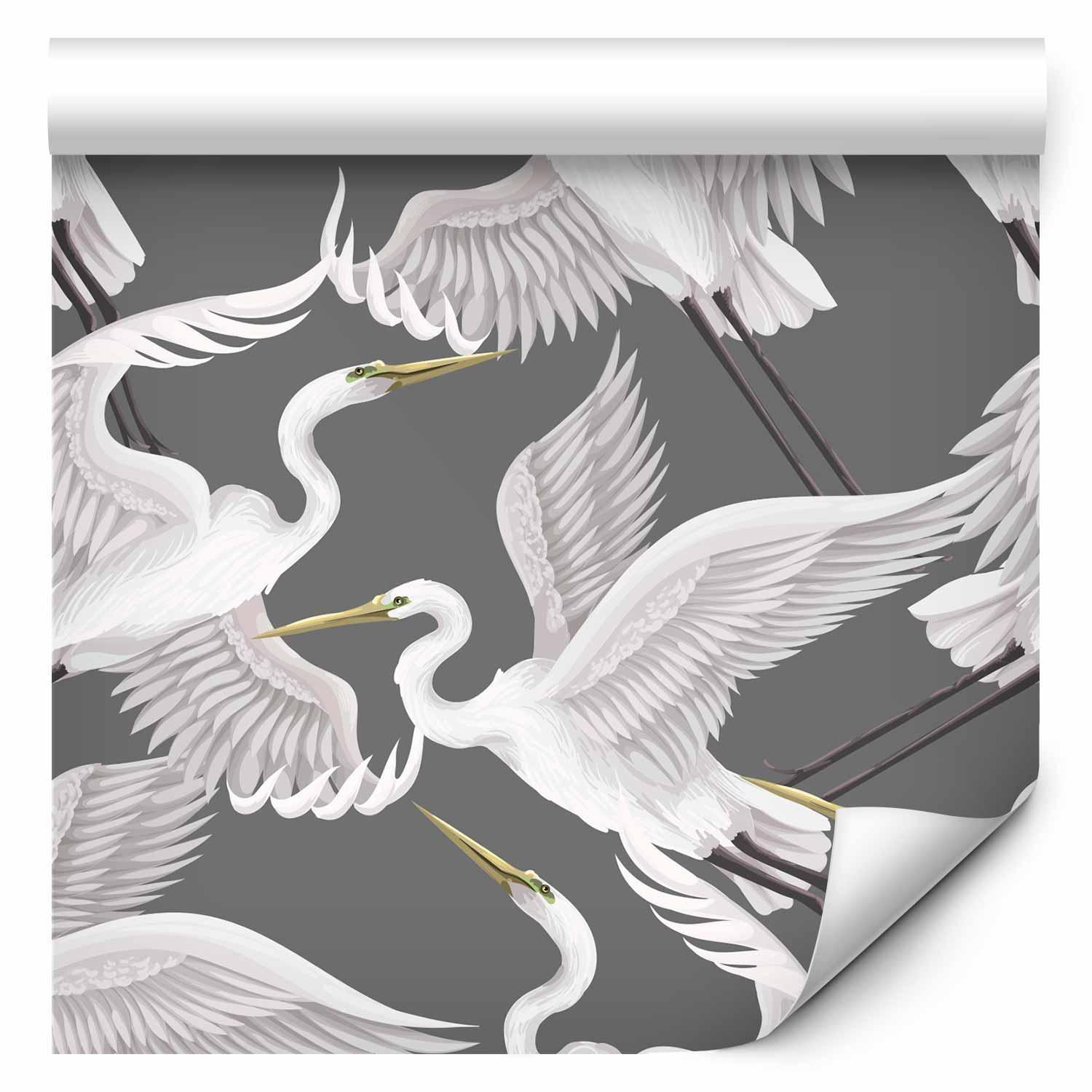 Flying Birds Heron Wallpaper
