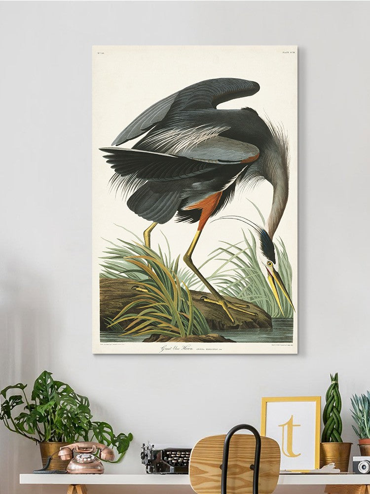 Great Blue Heron Wall Art -John James Audubon Designs