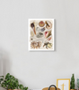77980576