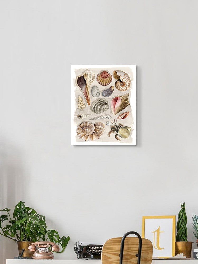 Ocean Shells Wall Art -Grace Popp Designs