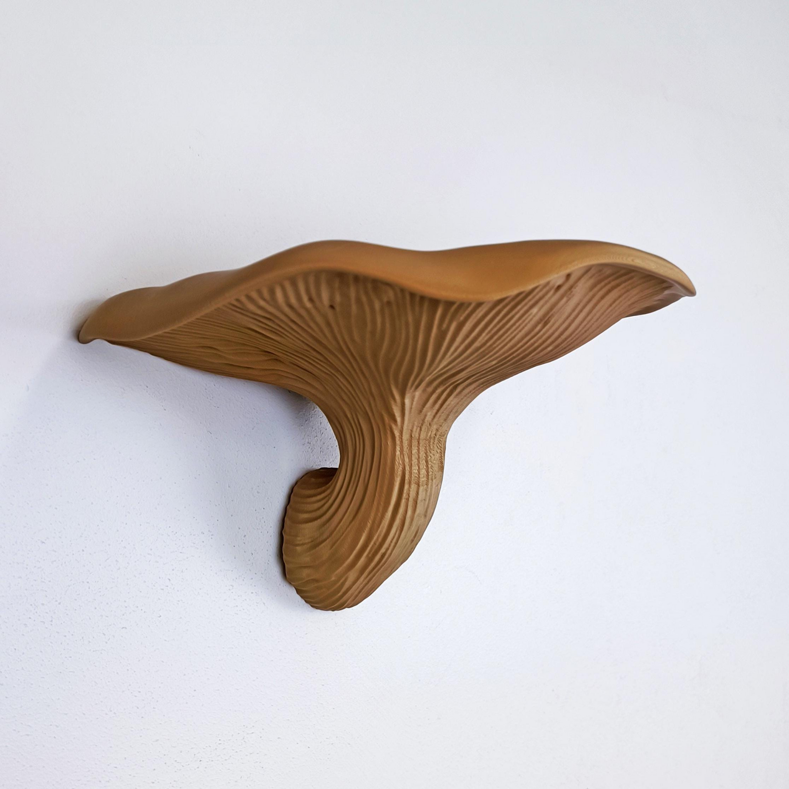 3D Printed Mushroom Floating Wall Shelf – Organic Fungi Wall Decor for Modern Home Display
