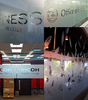 77604077