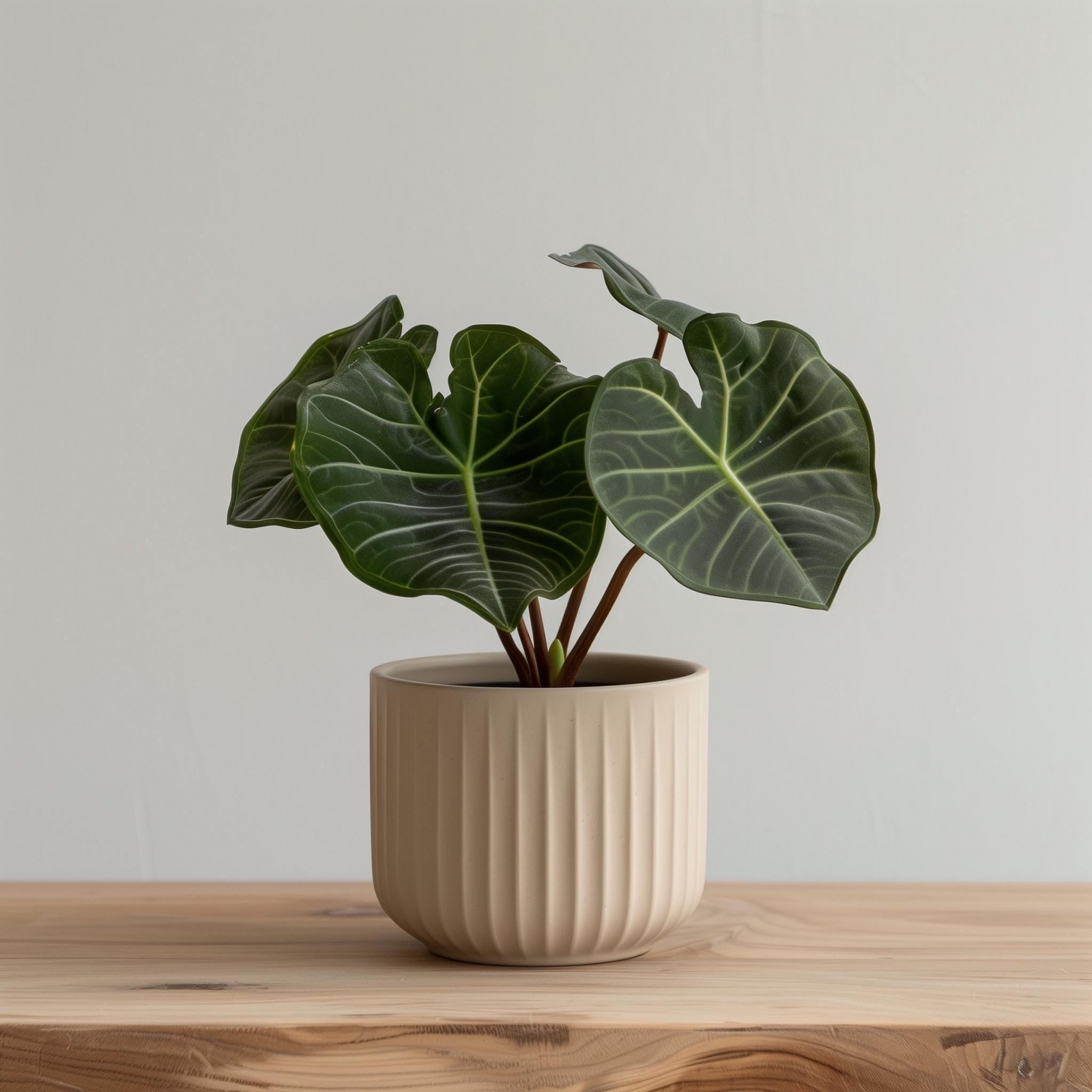 Ribbed 3D Printed Planter – Modern Cylindrical Indoor Plant Pot