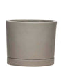 Italio Small 6.3 In. X 5.2 In. 1 Qt. Gray Concrete Indoor Planter