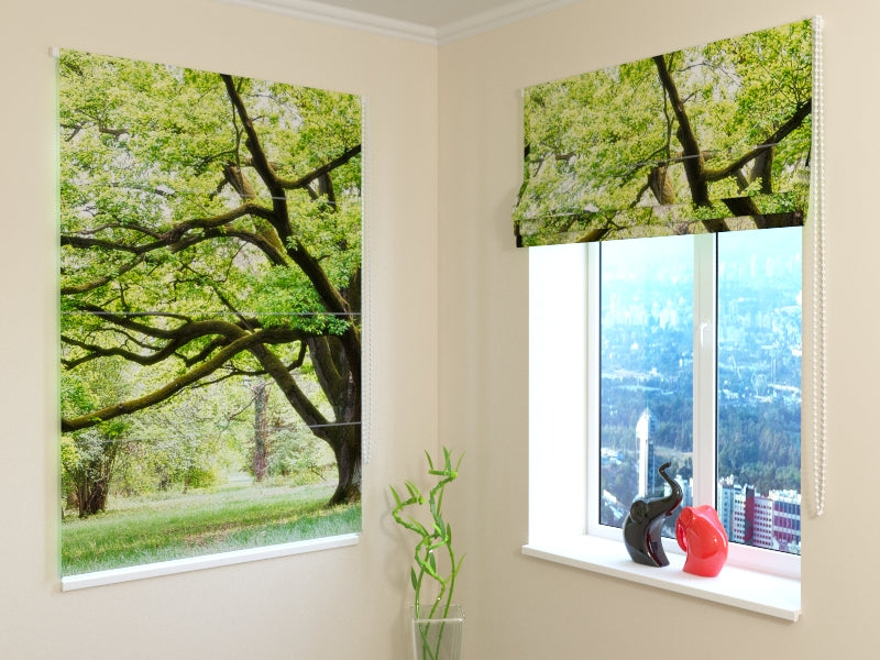 Elevated Green Tree roman shades for Nature-Inspired Interiors