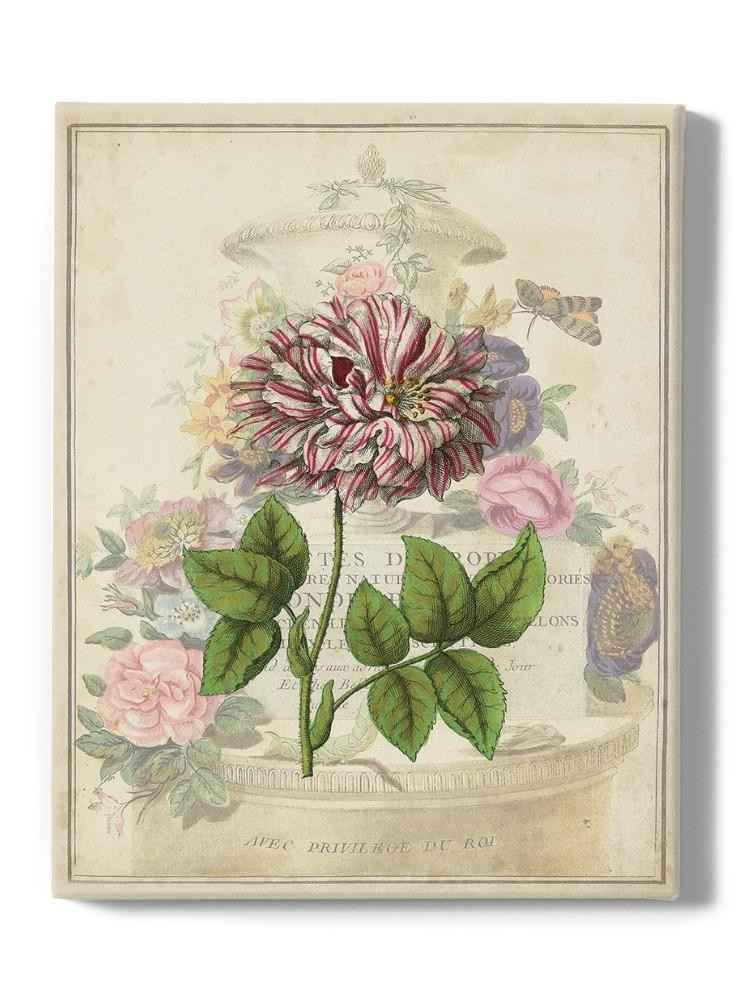 Vintage Rose Bookplate Wall Art -Vision Studio Designs