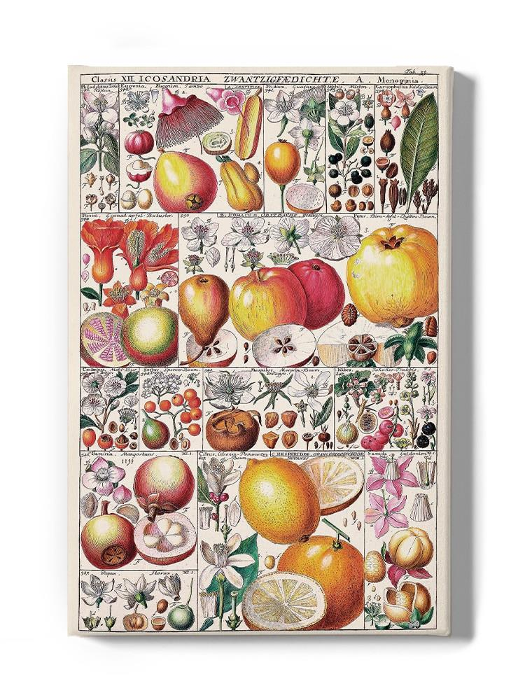 Fruit Chart Wall Art -Vision Studio Designs