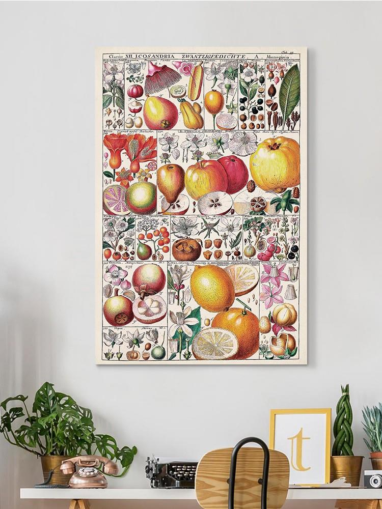 Fruit Chart Wall Art -Vision Studio Designs