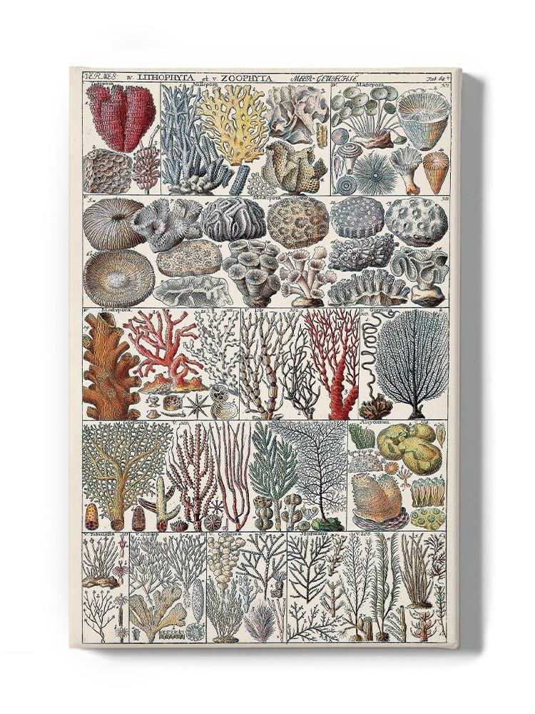 Coral Chart Wall Art -Vision Studio Designs