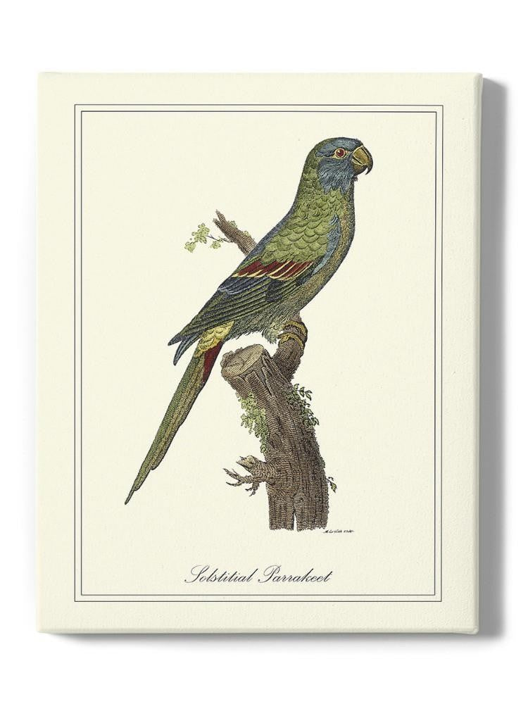 Solstitial Parrakeet Wall Art -Sydenham Edwards Designs