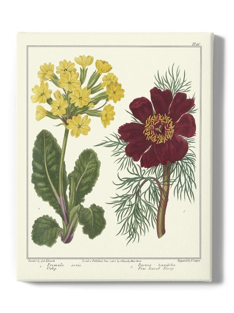 Gardeners Delight Wall Art -Sydenham Edwards Designs