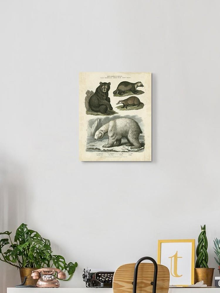 Brown Bearm. Polar Bear Wall Art -Sydenham Edwards Designs