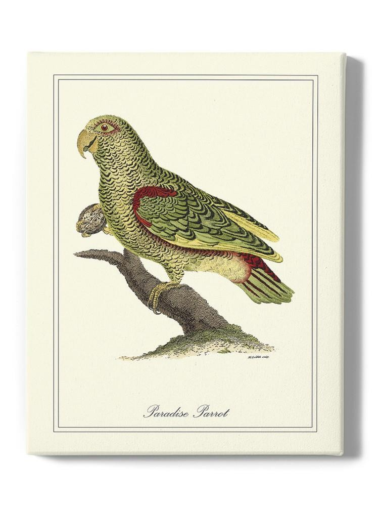 Paradise Parrot Wall Art -Sydenham Edwards Designs