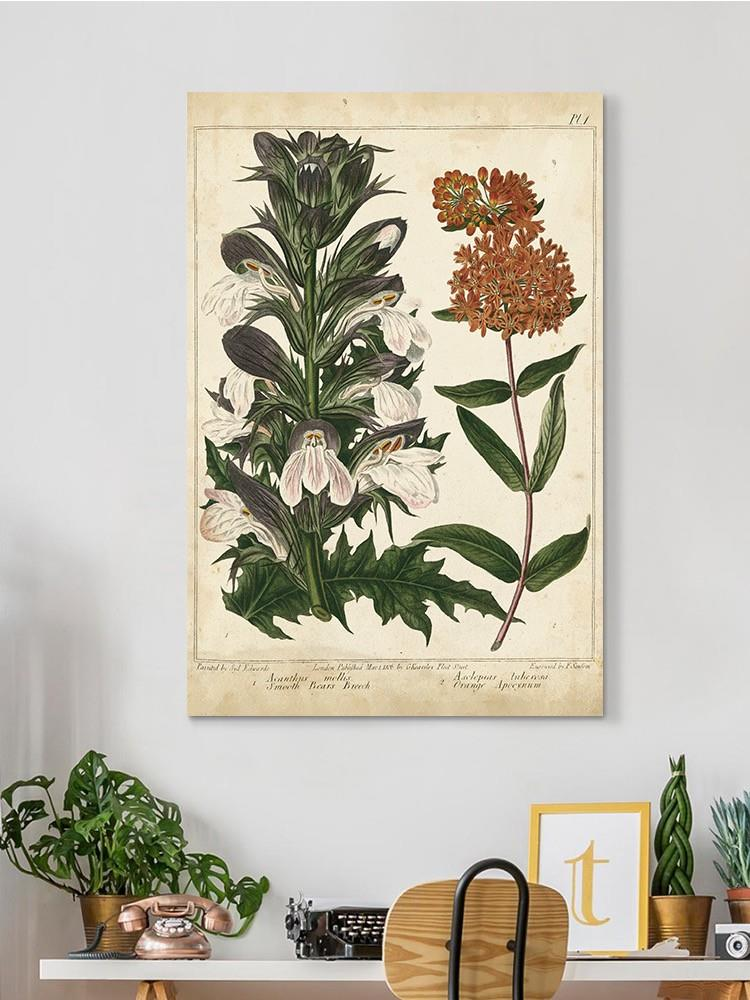 Enchanted Garden. Iv Wall Art -Sydenham Edwards Designs