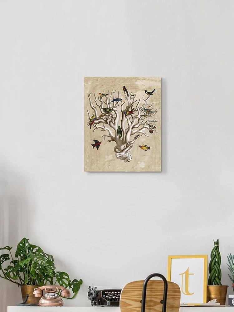 The Ornithologists Dream I Wall Art -Naomi McCavitt Designs