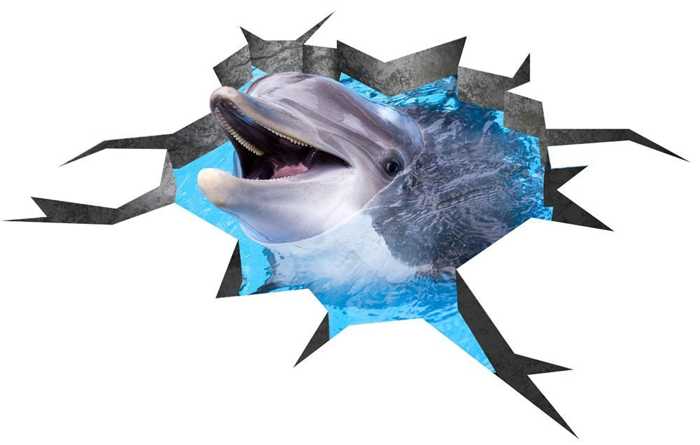 78519851