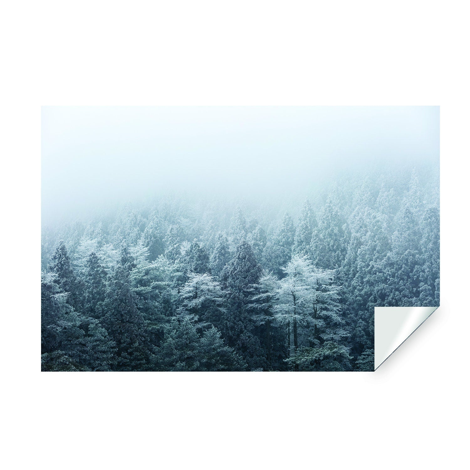 Foggy Forest Wallpaper Sticker Mural | Mountain Tree Fog Removable Wall Paper Art Decal