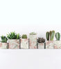 Pink Tropical Palm, Peel and Stick Wallpaper 13.35 Sq. Ft.