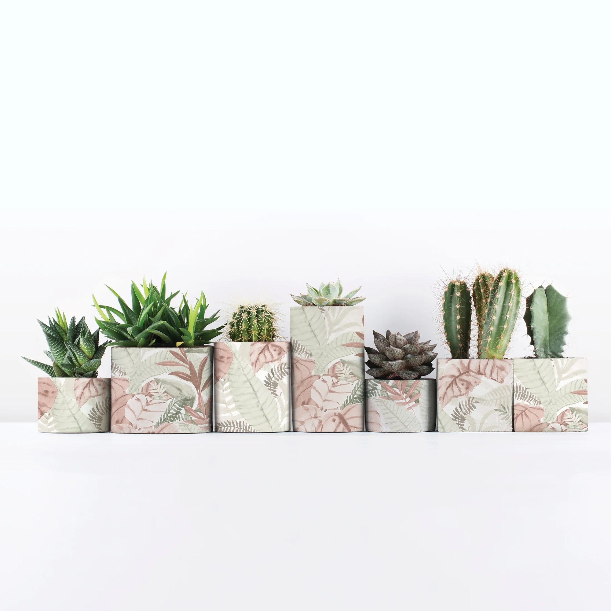 Pink Tropical Palm, Peel and Stick Wallpaper 13.35 Sq. Ft.