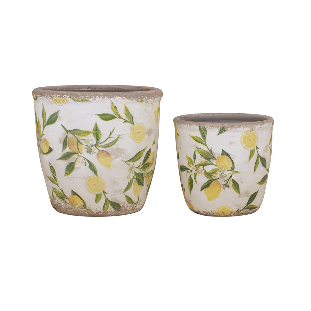 Ceramic Planter and Vase Collection with Lemon Motif and Handle Accents