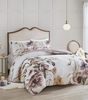 77665141