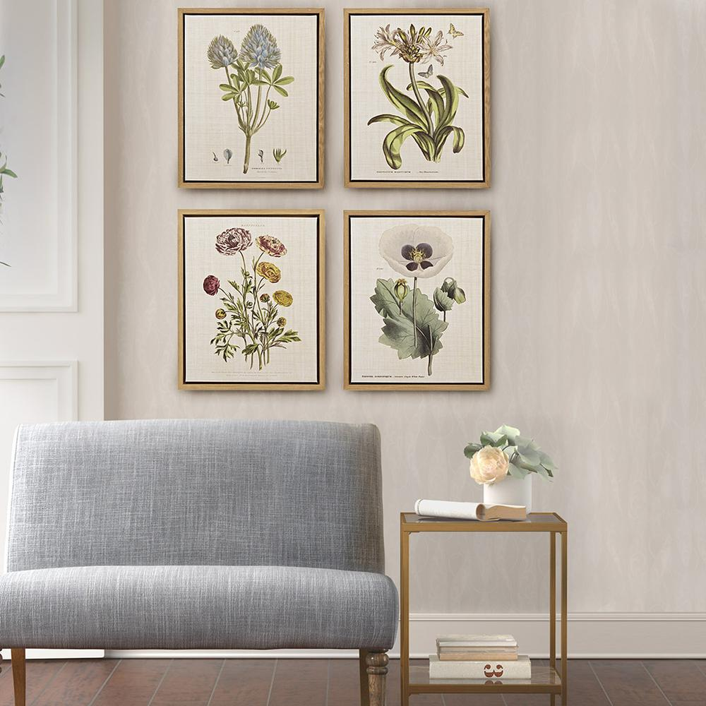 4-piece Botanical Illustration Framed Canvas Wall Art Set