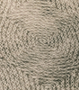 78098645