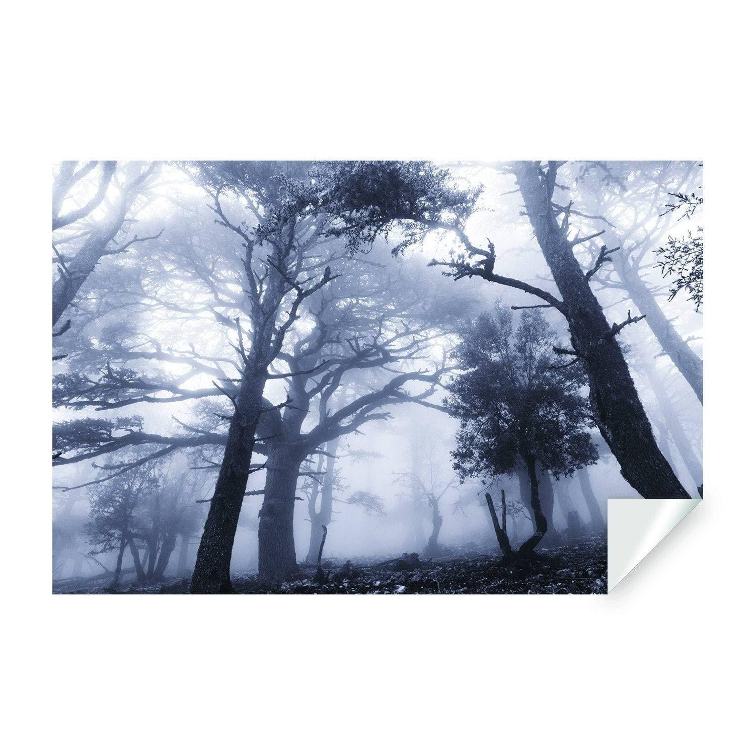 Misty Forest Wall Mural, Large Tree View Landscape Wall Decal, Scenic Nature Wallpaper