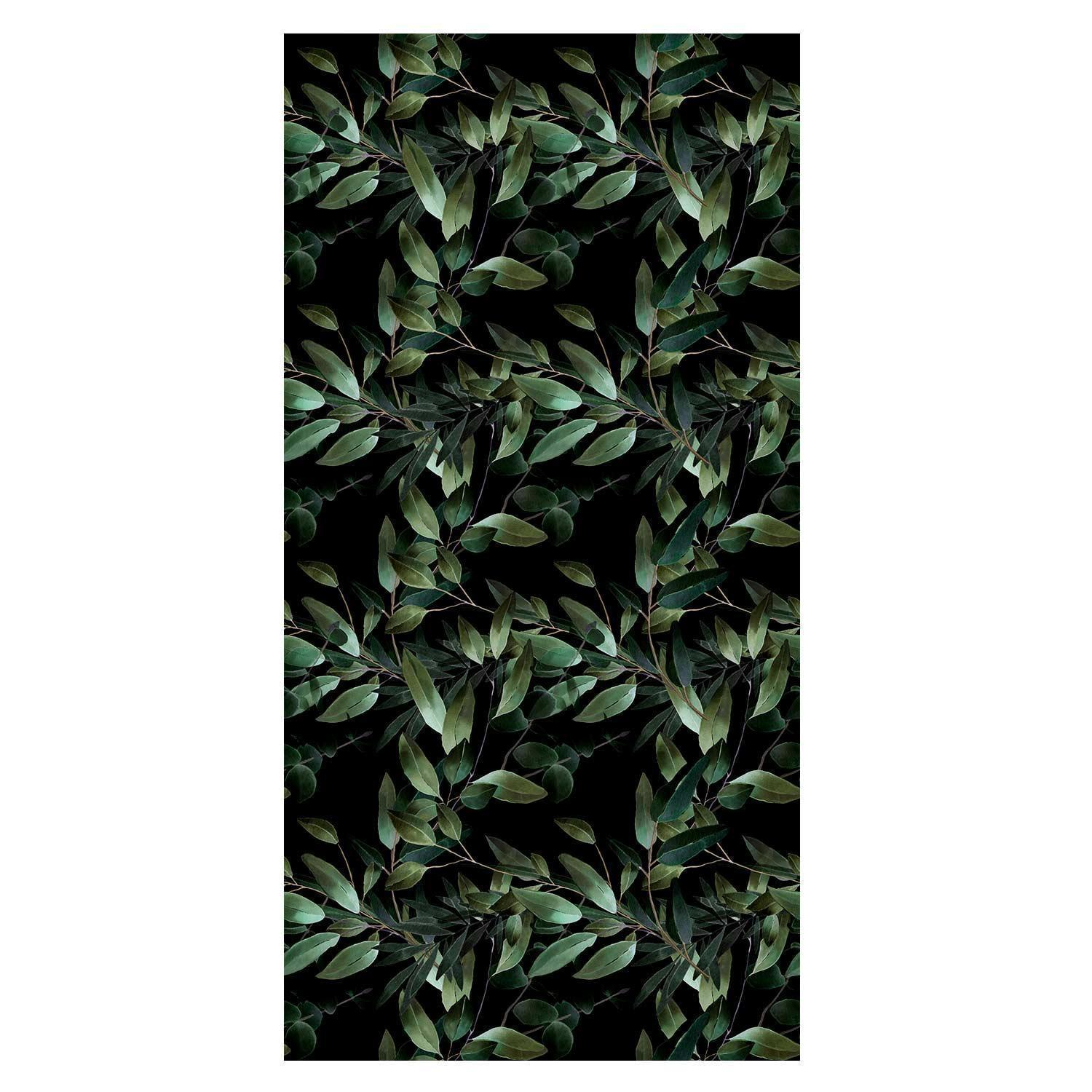 80837037