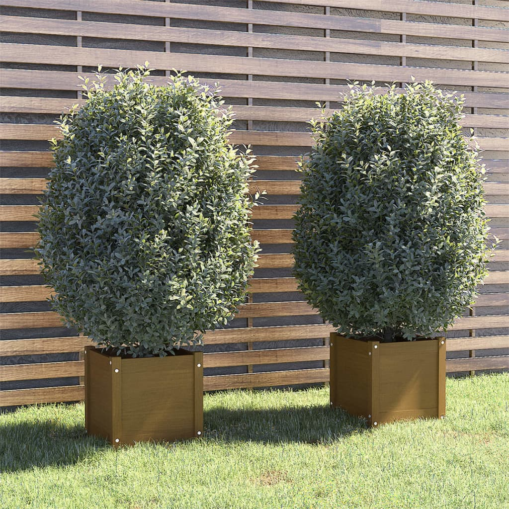 vidaXL Planter Set of 2 Honey Brown Solid Pinewood Standard Planters