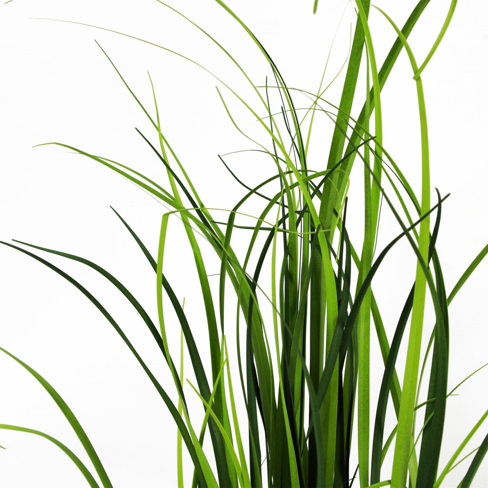 Artificial Grass Plant Lemongrass Grass Plant 60cm Plants